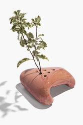 CERAMIC IKEBANA | PINK GLAZE
