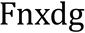 Fnxdg