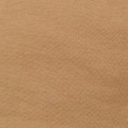 PAULIE BASEBALL HAT | CAMEL