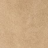 WALLY ANKLE BOOT | DUNE SUEDE